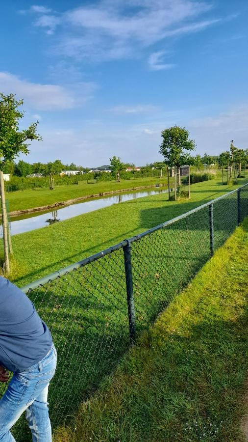 Willa 'T Blauwtje Baarland Zewnętrze zdjęcie