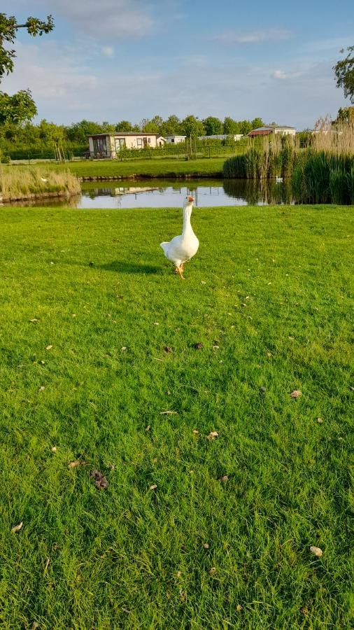 Willa 'T Blauwtje Baarland Zewnętrze zdjęcie