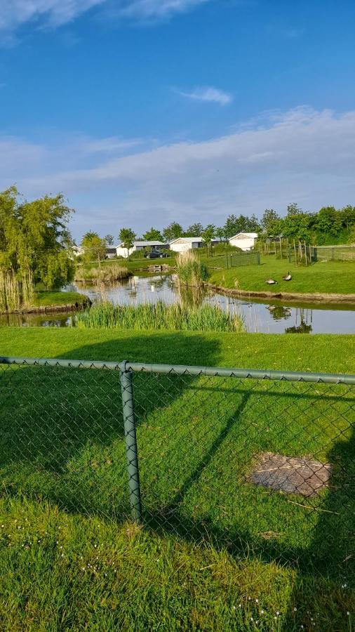 Willa 'T Blauwtje Baarland Zewnętrze zdjęcie