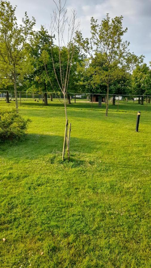 Willa 'T Blauwtje Baarland Zewnętrze zdjęcie
